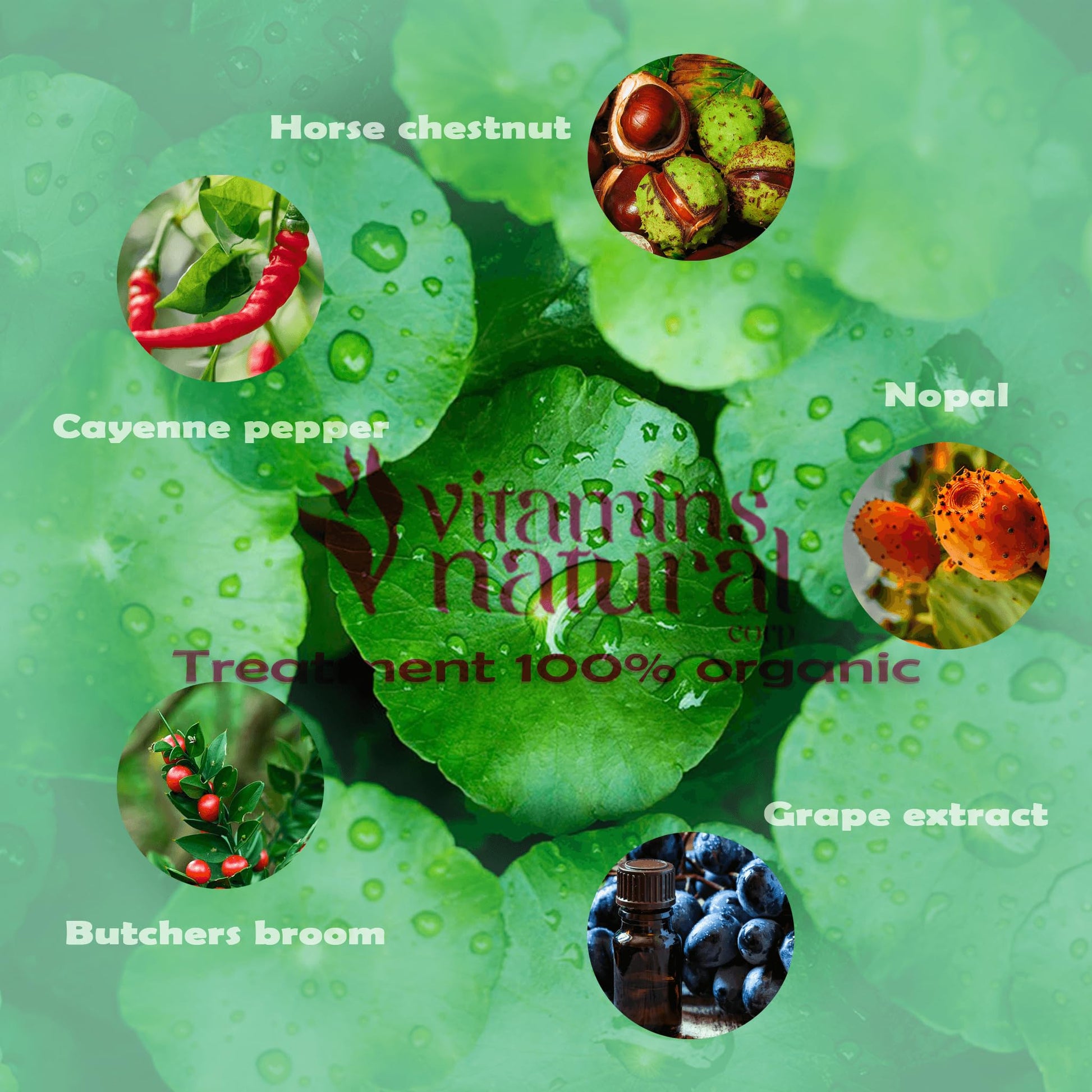 VITAMINS NATURAL CORP. CircuVeins Varicose Veins Support for Legs Capsules – Organic Vein Health Supplement with Horse Chestnut Grape Extract and Cayenne Pepper – 60 Capsules VITAMINS NATURAL CORPBuy Supplements Australia