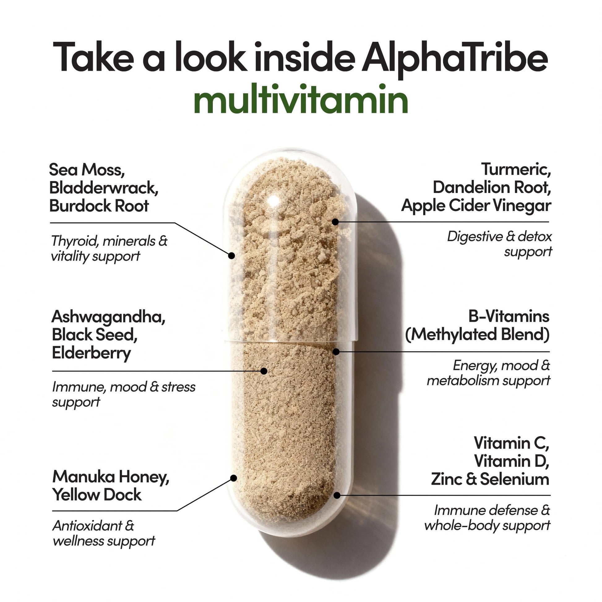 Alpha Tribe Multivitamin for Men & Organizer w/Seamoss Black Seed Oil Ashwagandha Burdock Root Turmeric Bladderwrack Vitamin C | Daily Men's Vitamins & Minerals Supplement | 60 Count Alpha TribeBuy Supplements Australia
