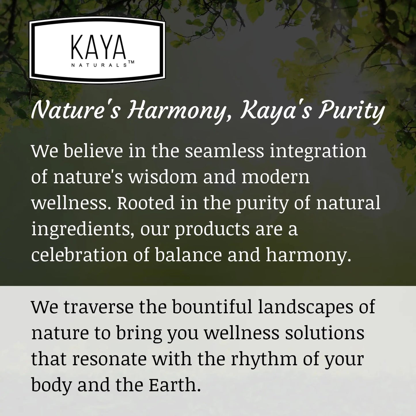 Kaya Naturals Moringa Leaf Extract - Complete Greens Superfood Supplement - Pure Miracle Tree Moringa - Boost Energy Naturally Kaya NaturalsBuy Supplements Australia