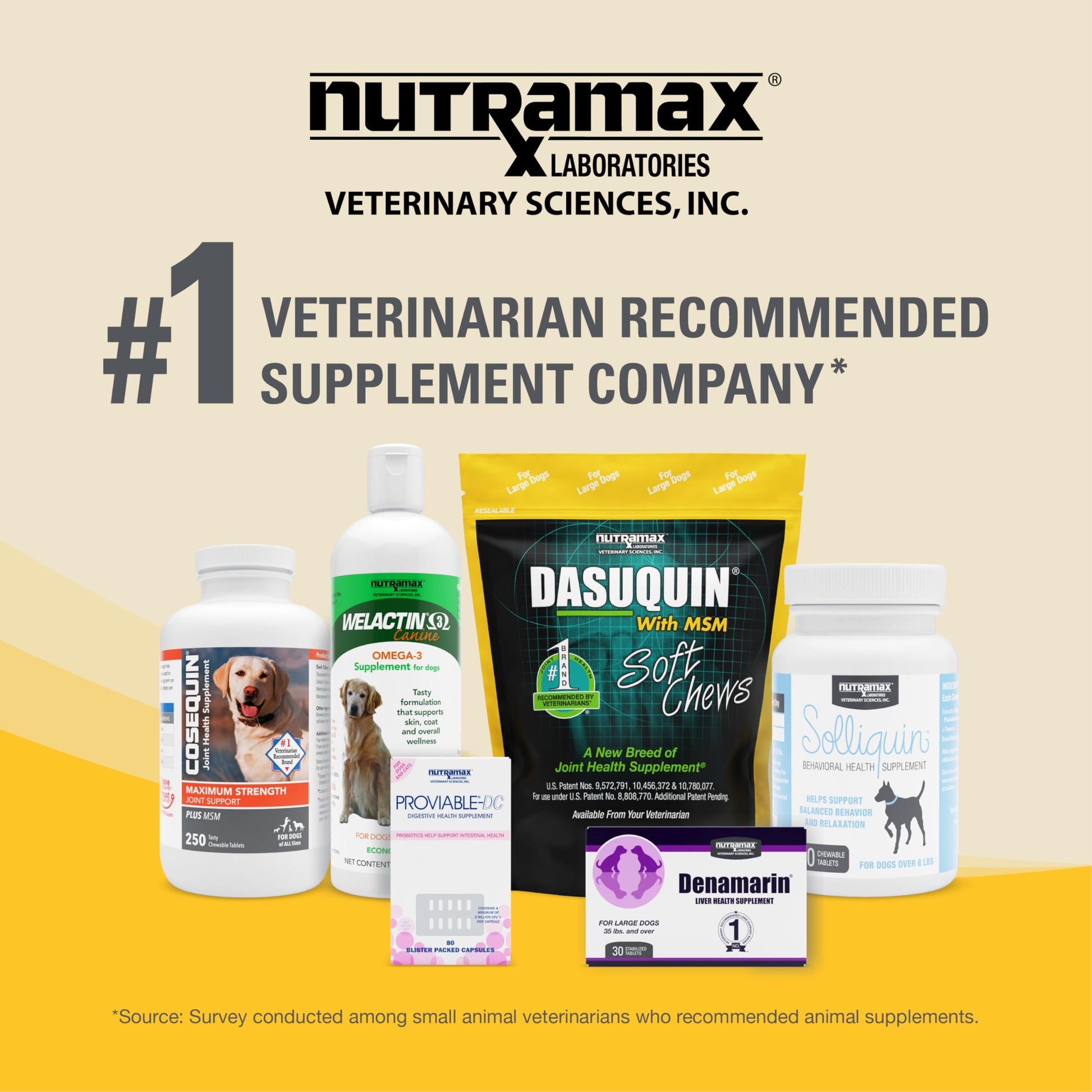 Nutramax Dasuquin for Small to Medium Dogs, Joint Health Supplement, Contains Glucosamine for Dogs, Plus Chondroitin, ASU, MSM and More, Supports Healthy Joints, Chewable Tablets, 84 Count Nutramax LaboratoriesBuy Supplements Australia