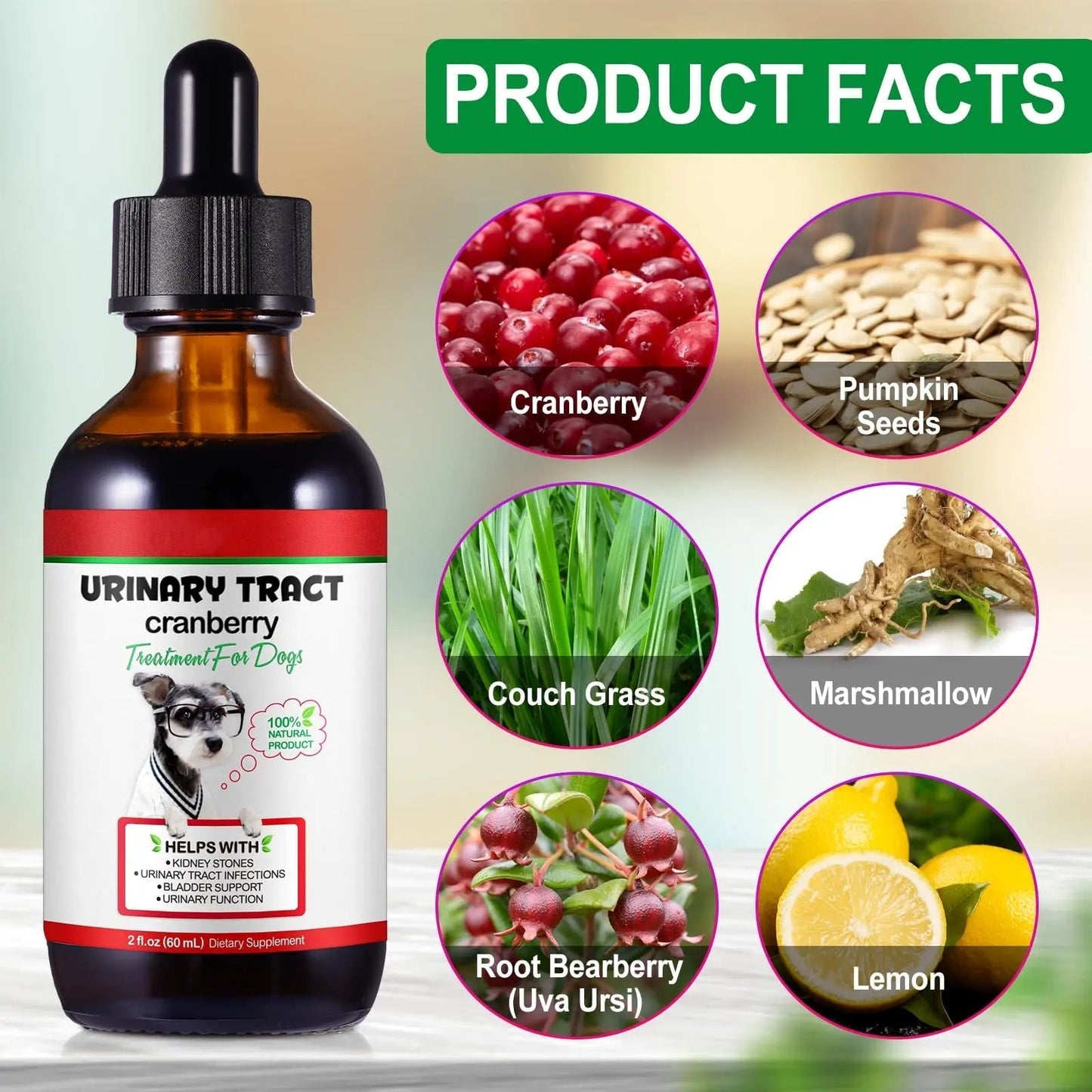 Dog UTI Treatment - Urinary Tract Infection Treatments, Kidney+Bladder Support Supplement, Natural Cranberry Extract for Dogs, Supports Urinary and Digestive Health (2 Fl Oz (Pack of 2)) OnznozBuy Supplements Australia