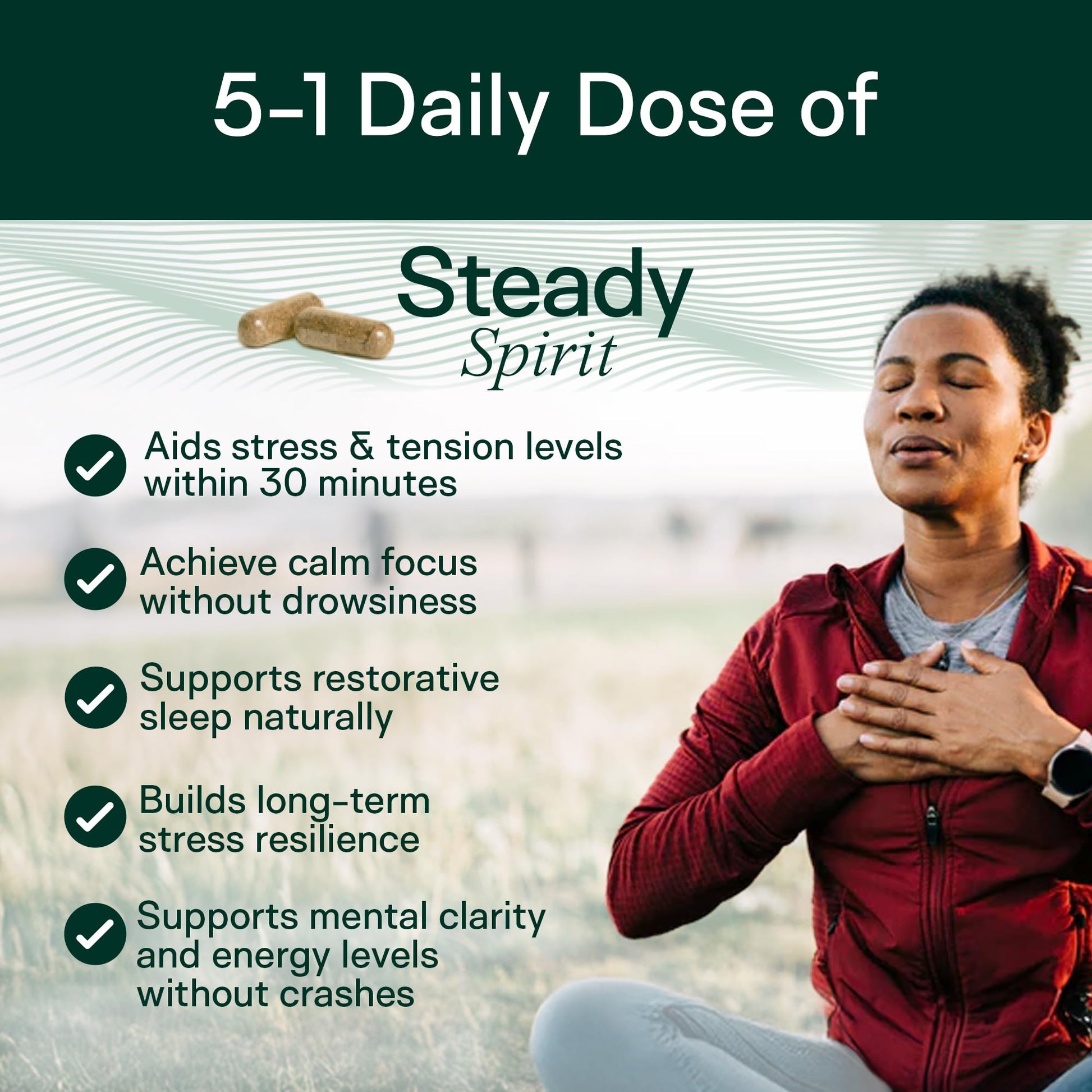 Adapt Naturals Steady Spirit Stress, Anxiety & Mood Support Supplement for Women and Men with Ashwagandha, L-Theanine, Holy Basil, Saffron, and Lemon Balm - Stress Relief Supplement - 30 Day Supply ADAPT NATURALS BY CHRIS KRESSERBuy Supplements Australia