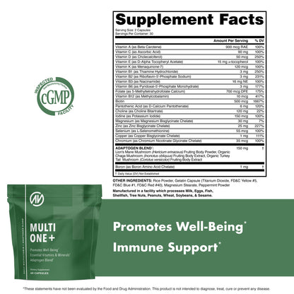 MultiOne Men & Women’s Daily Multivitamin - Essential Nutrients and Minerals for Optimal Health (60 Capsules) NutraOneBuy Supplements Australia