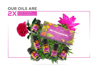 Simplistic Elegance Essential Oils Set - Top 6 Natural Aromatherapy Oils for Diffusers Humidifier Massage Simplistic EleganceBuy Supplements Australia