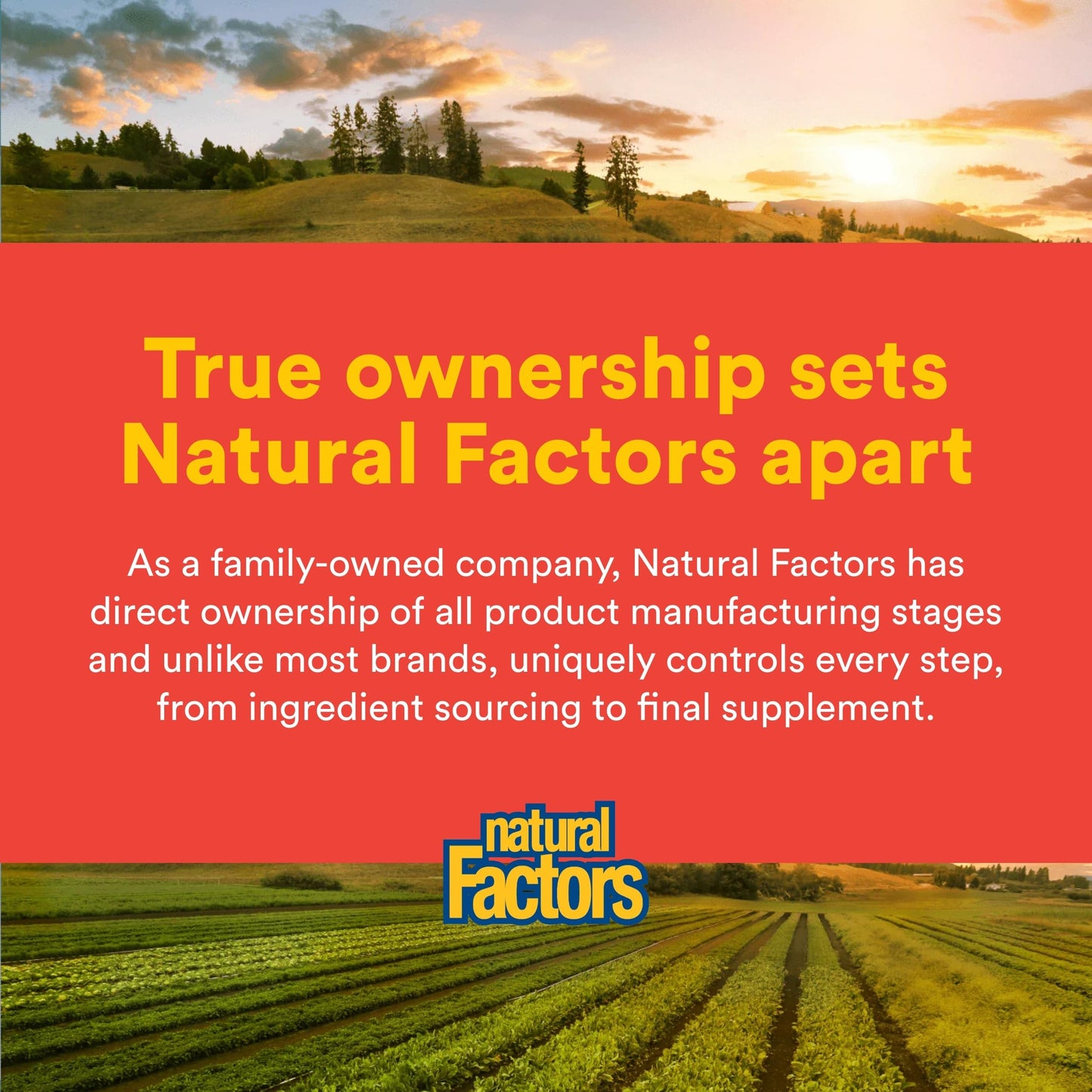 Natural Factors, Celadrin Joint Health, Promotes Flexibility, Mobility and Joint Function, 90 Softgels Natural FactorsBuy Supplements Australia