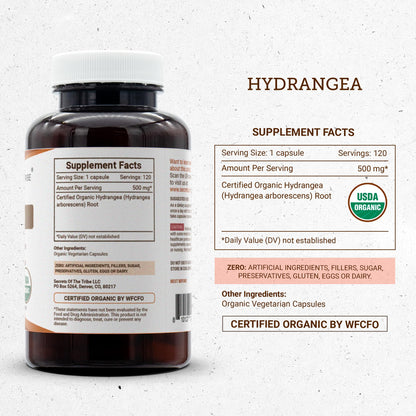 Secrets of the Tribe Hydrangea USDA Organic Capsules | Certified Organic Vegetarian Capsules, Herbal Dietary Supplement | Hydrangea arborescens Dried Root (120 Count) Secrets of the TribeBuy Supplements Australia