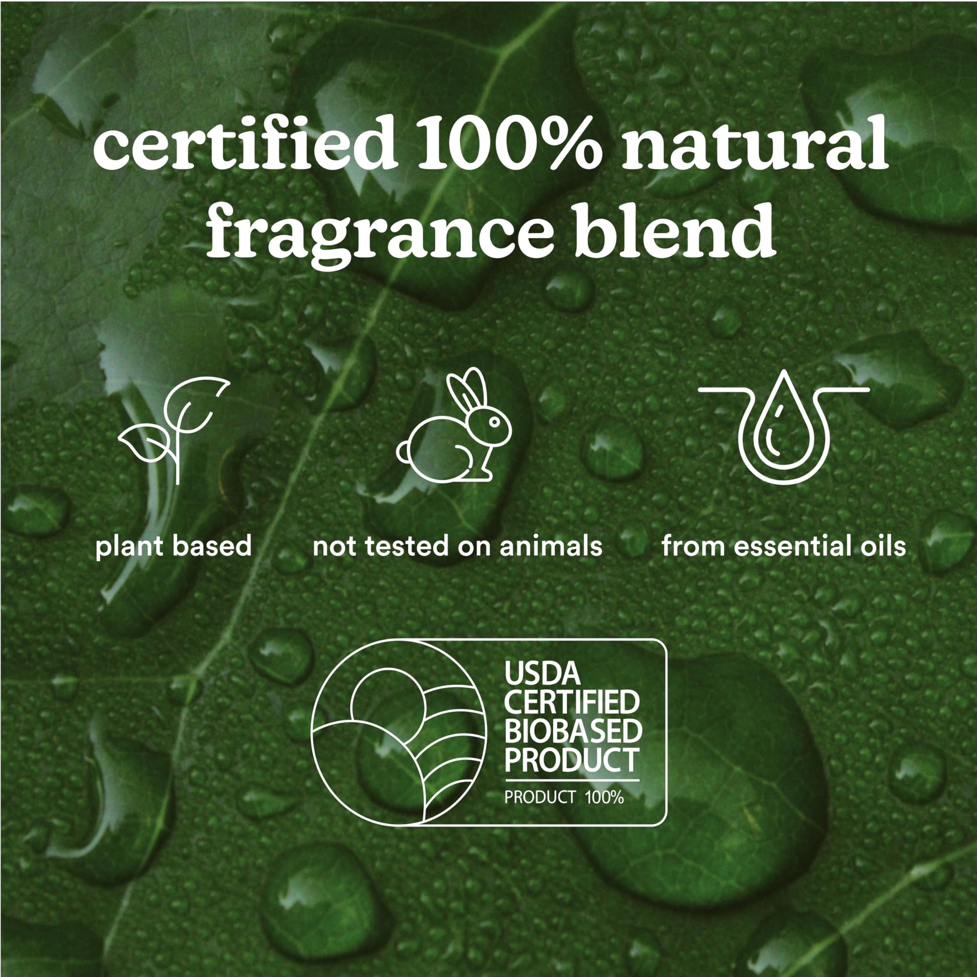 Homedics SereneScent Moroccan Magic Fragrance Oil Bottle, 120 ml, Clean & Natural, Fruity & Woody HomedicsBuy Supplements Australia