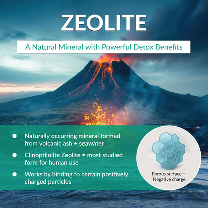 Organic Excellence Zeolite Clinoptilolite Powder – Pure Micronized Mineral Supplement – Supports Gut Health, Cleansing Support & Internal Balance – Non-GMO, Vegan – 500 Servings Organic ExcellenceBuy Supplements Australia