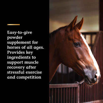 Vita Flex Pro Recovery by the Makers of Lactanase, Post Performance Horse Supplements 40 g, Show Safe Muscle Recovery Supplements, Amino Acids for Horses, Strength & Joint Health Vita FlexBuy Supplements Australia