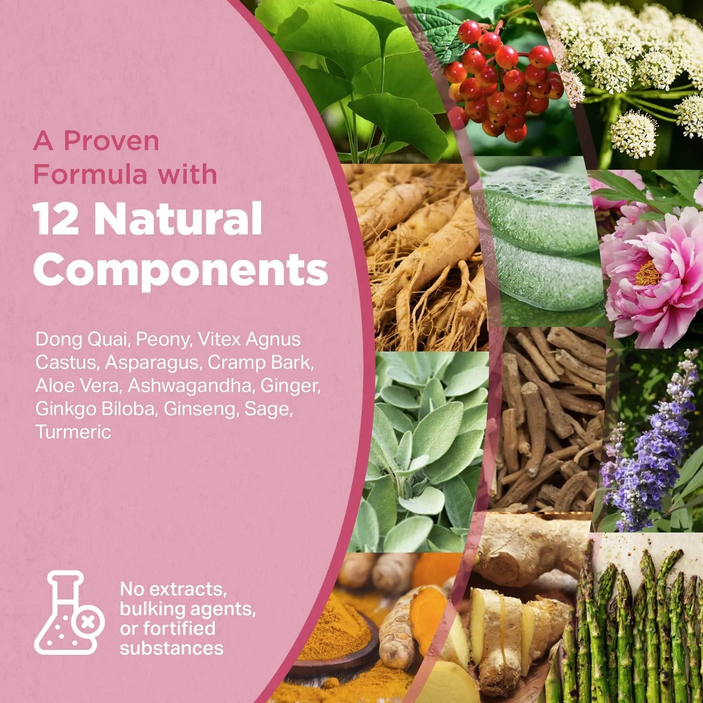Strength & Spices Hormone Balance 100% Natural Estrogen Supplement – 12 Ingredients w Dong Quai - 60 Vegan UK Made 1000mg Capsules – Fertility and Menstrual Comfort STRENGTH & SPICES100% Natural Vegan Food SupplementsBuy Supplements Australia