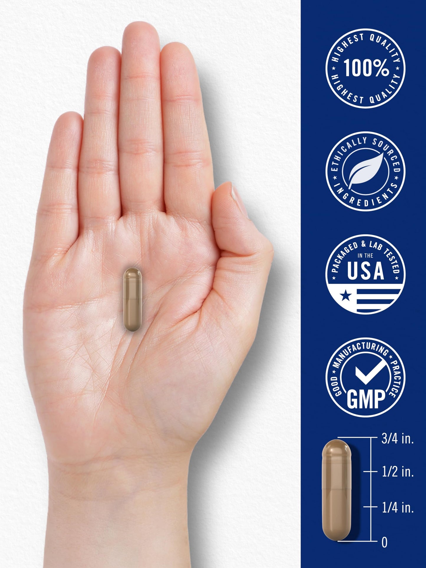 Carlyle Blood Circulation Supplement | 180 Capsules | Supports Healthy Circulation | Non-GMO, Gluten Free CarlyleBuy Supplements Australia