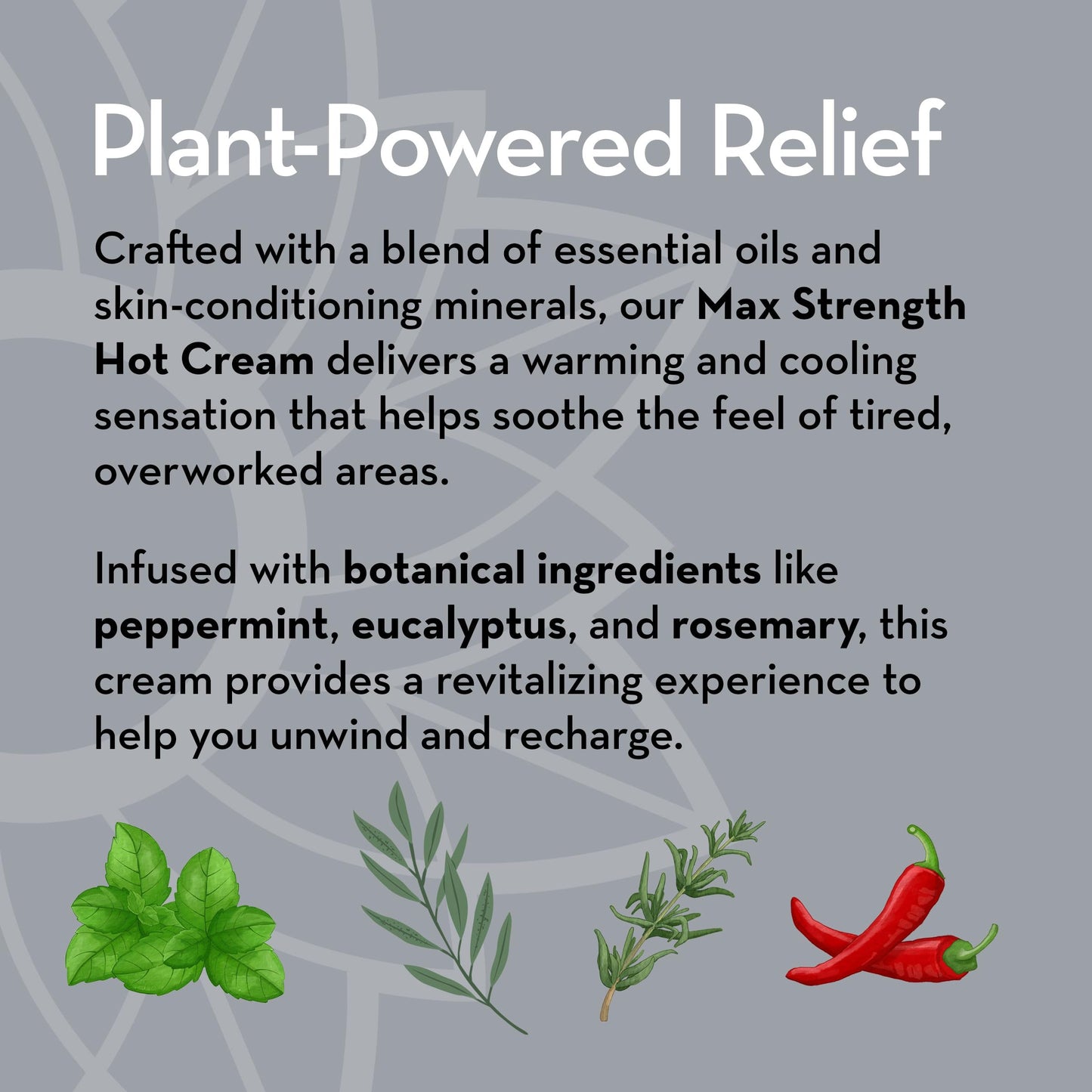 Pure Body Naturals Max Strength Hot Cream – Warming & Cooling Cream with Capsaicin and Menthol – Soothing Comfort for Overworked Muscles – 8.8 oz Pure Body NaturalsBuy Supplements Australia