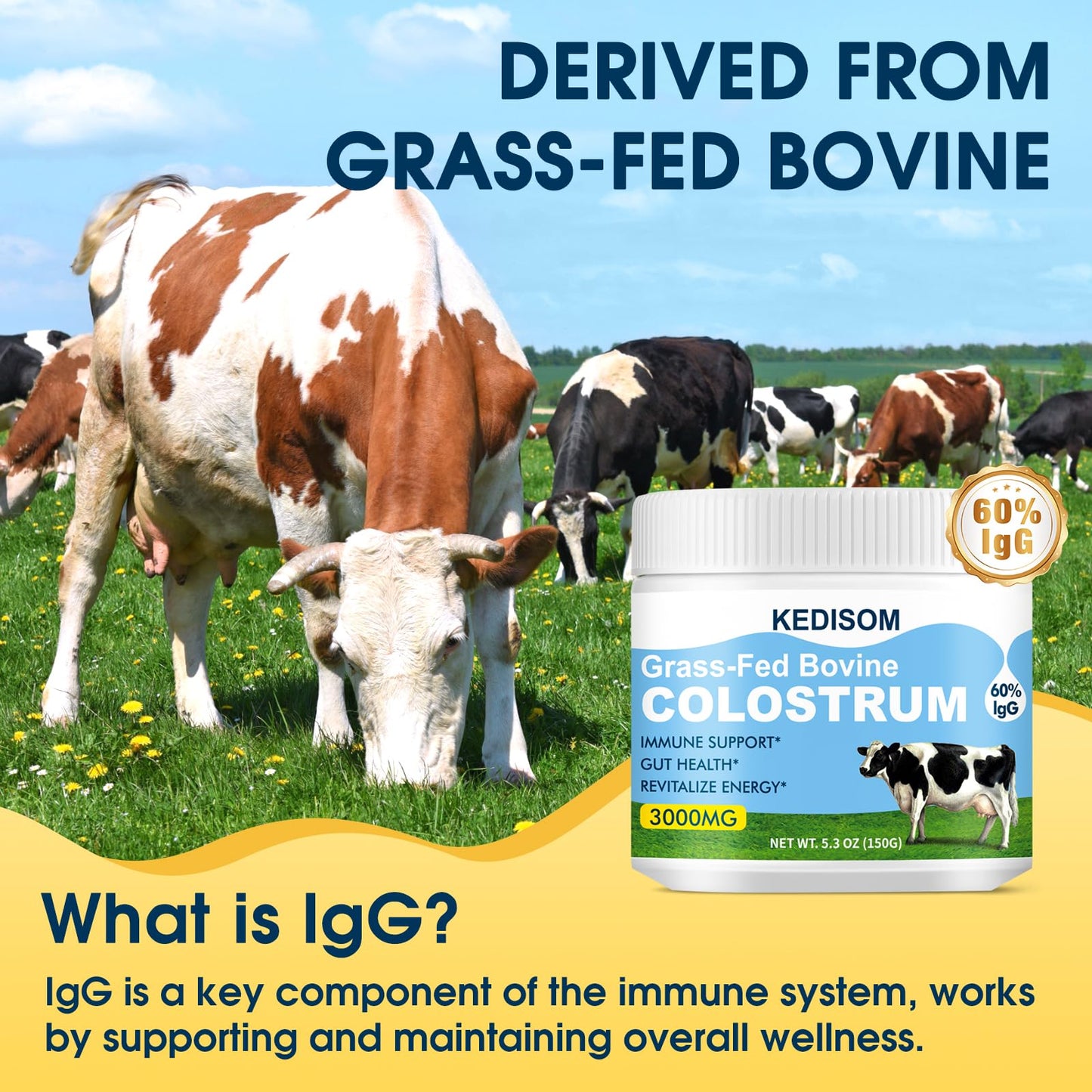 KEDISOM Grass-Fed Bovine Colostrum Supplement Powder - 60% High IgG 3000 mg for Gut Health, Immune Support - Easy to Mix Natural Liposomal Colostrum Superfood, Unflavored, 50 Servings KEDISOMBuy Supplements Australia