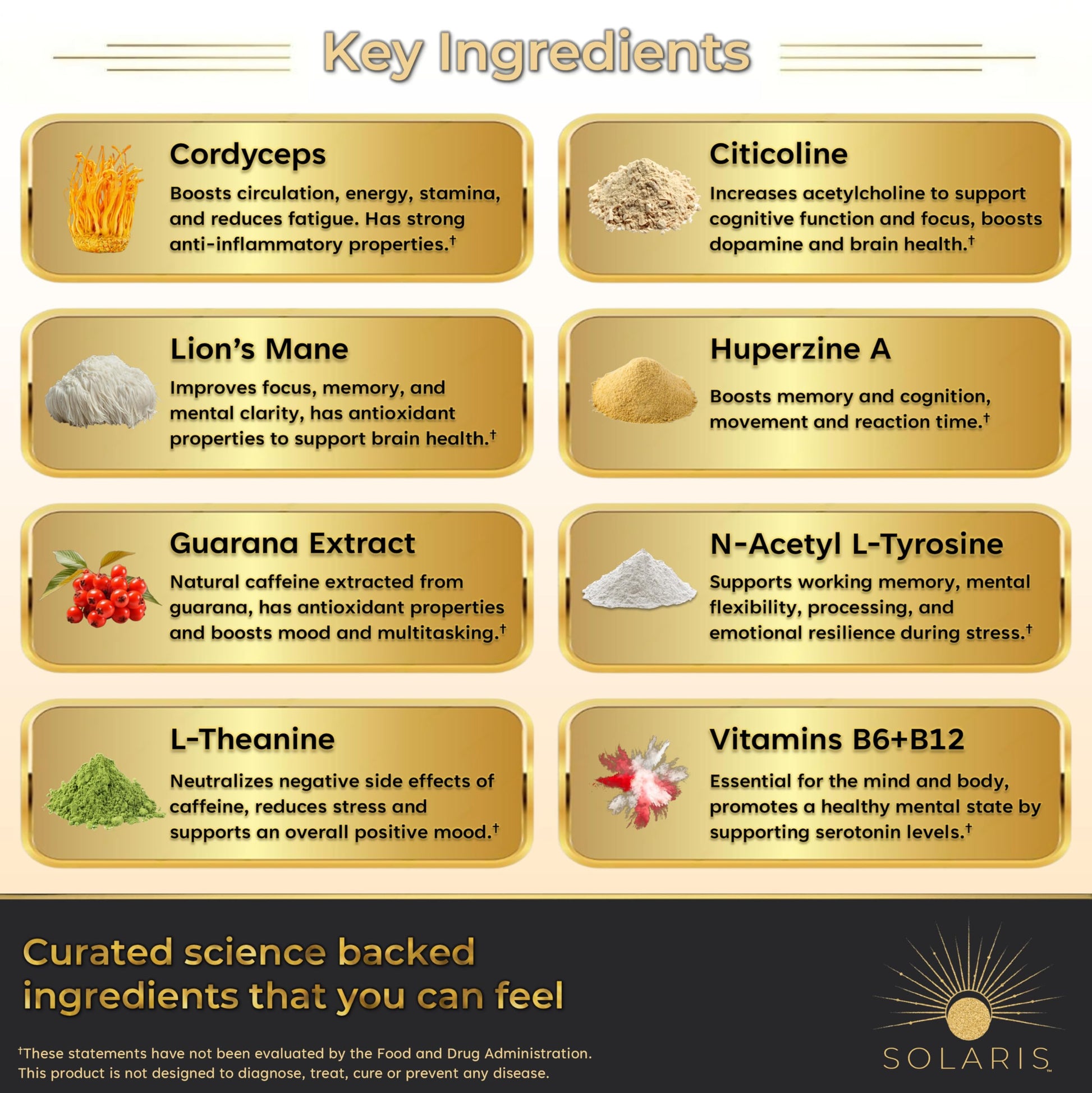 Solaris Mushroom Productivity Wellness Shots | Focus, Circulation, Memory | 4000mg of Cordyceps & Lion's Mane | Citicoline, L-Theanine, Vitamin B6/B12 | Coffee Alternative (6-Pack) Solaris ExtractsBuy Supplements Australia