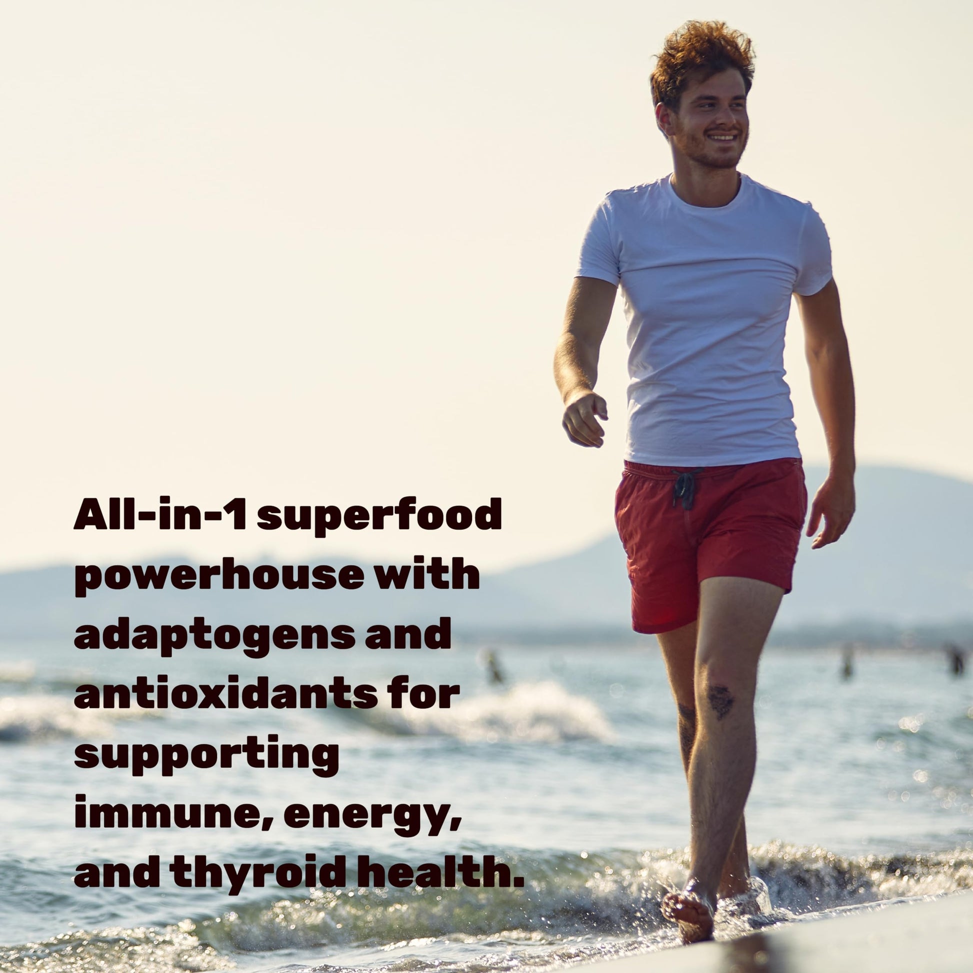 DEAL SUPPLEMENT Irish Sea Moss 240 Veggie Capsules – 14 Superfood Complex with Black Seed Oil, Ashwagandha, & Ginger DEAL SUPPLEMENTBuy Supplements Australia