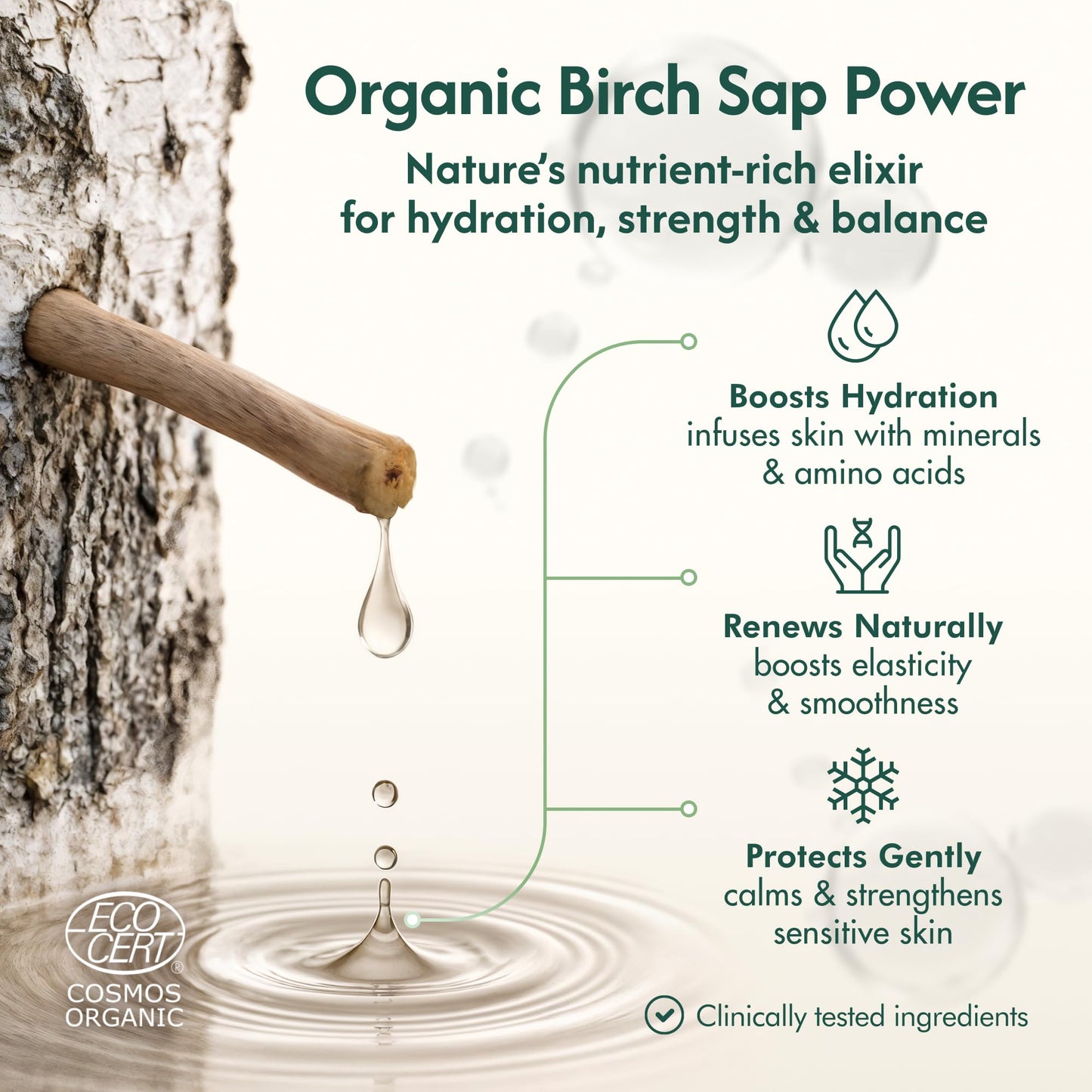 Nordic Organic Birch Sap Face Mist – COSMOS Certified Organic Formula with Hyaluronic Acid & Chaga Mushroom, Fragrance Free, Made in Finland 3.38 oz (100 ml), 1 Bottle Nordic OrganicBuy Supplements Australia