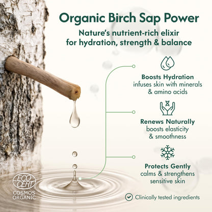 Nordic Organic Birch Sap Face Mist – COSMOS Certified Organic Formula with Hyaluronic Acid & Chaga Mushroom, Fragrance Free, Made in Finland 3.38 oz (100 ml), 1 Bottle Nordic OrganicBuy Supplements Australia