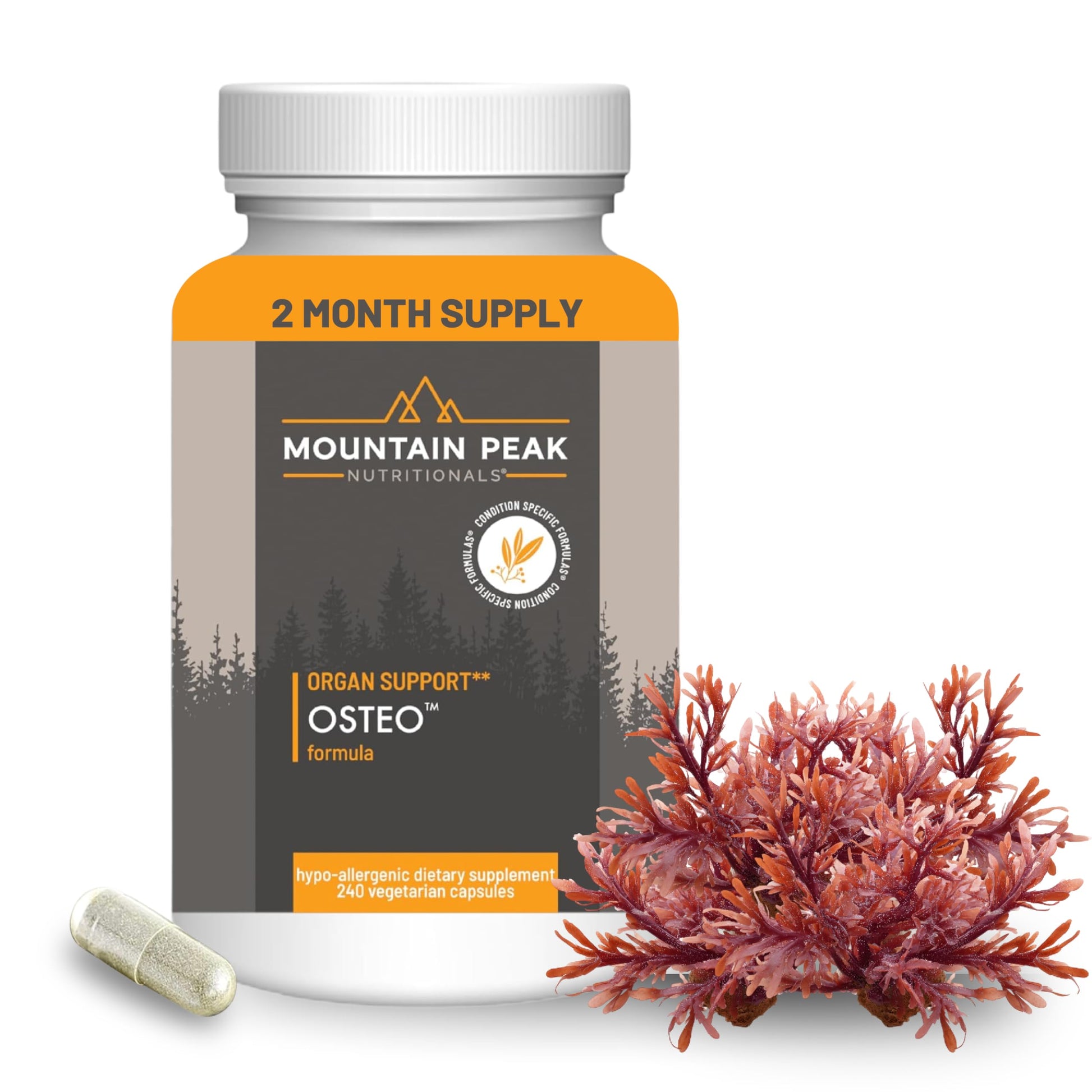 Mountain Peak Nutritionals Osteo Supplement - Organ & Strong Bone Support, Promotes Bone Health - With Vitamins D3, K2, Calcium, and Magnesium - Bone Building & Strengthening (240 Vegetarian Capsules) Mountain Peak NutritionalsBuy Supplements Australia