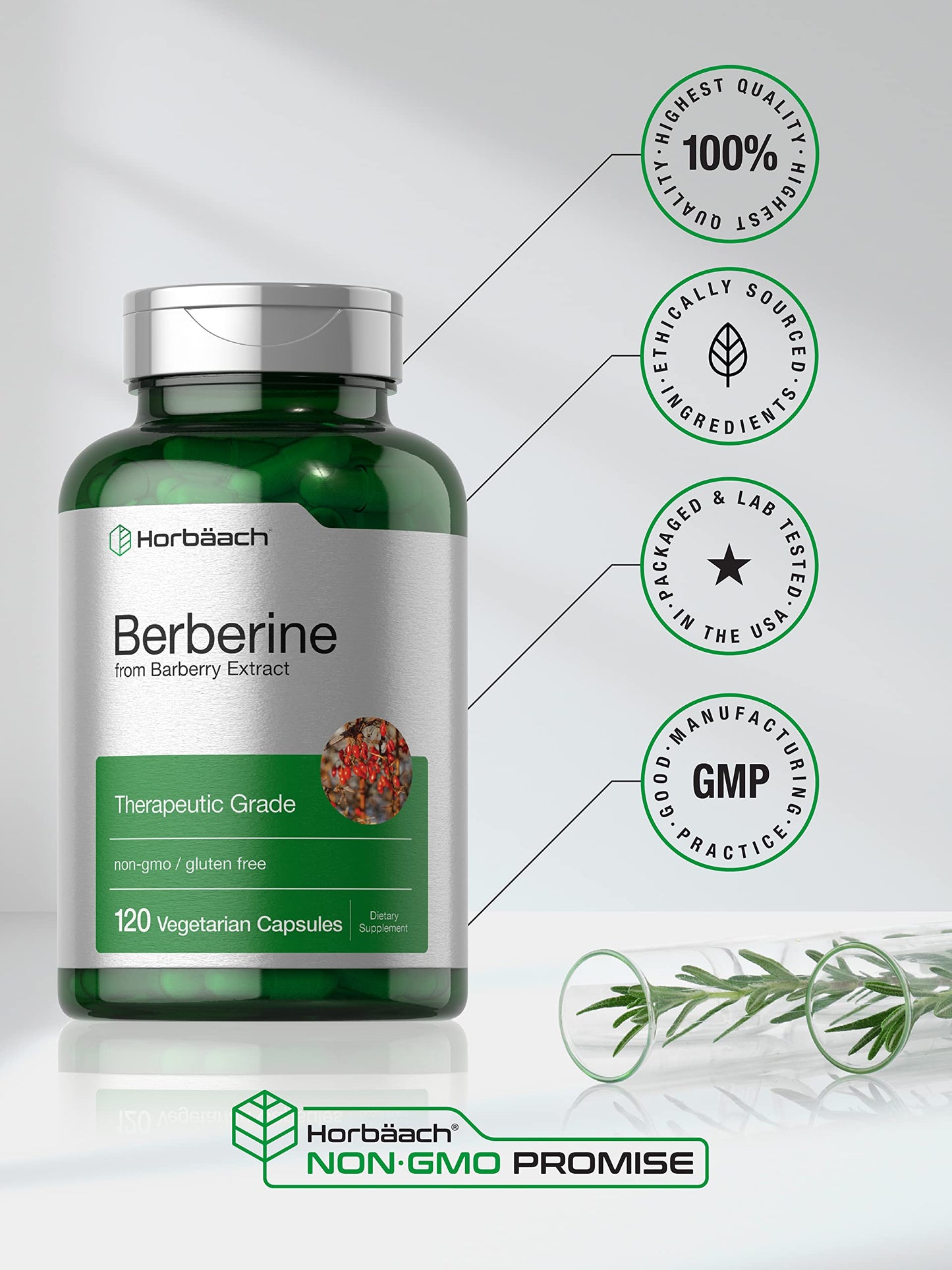 Berberine Supplement | 120 Capsules | Berberine HCl from Barberry Extract | Non-GMO HorbäachBuy Supplements Australia
