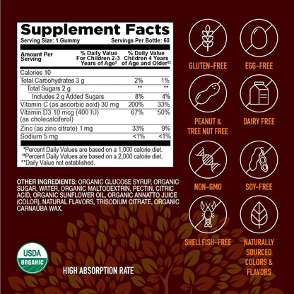YUM-V'S Kids Strong Earth - Organic Immune Health Gummies with Vitamin C, Vitamin D3 Plus Zinc - Immune System Boost Zinc YUM-V'SBuy Supplements Australia