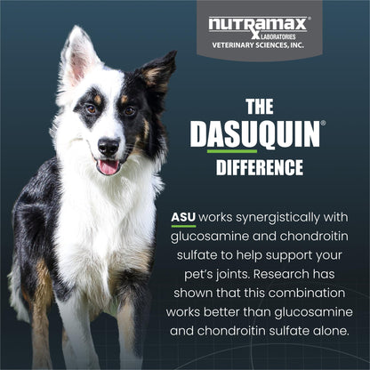 Nutramax Dasuquin for Small to Medium Dogs, Joint Health Supplement, Contains Glucosamine for Dogs, Plus Chondroitin, ASU and More, Supports Healthy Joints, Chewable Tablets, 150 Count Nutramax LaboratoriesBuy Supplements Australia