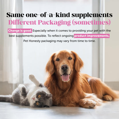 Pet Honesty Hip & Joint Health Max Strength – Dog Joint Support Chews with Glucosamine Chondroitin & Omega-3s – Joint Supplement for Dogs to Support Mobility, Flexibility & Comfort – Bacon (90 ct) Pet HonestyBuy Supplements Australia
