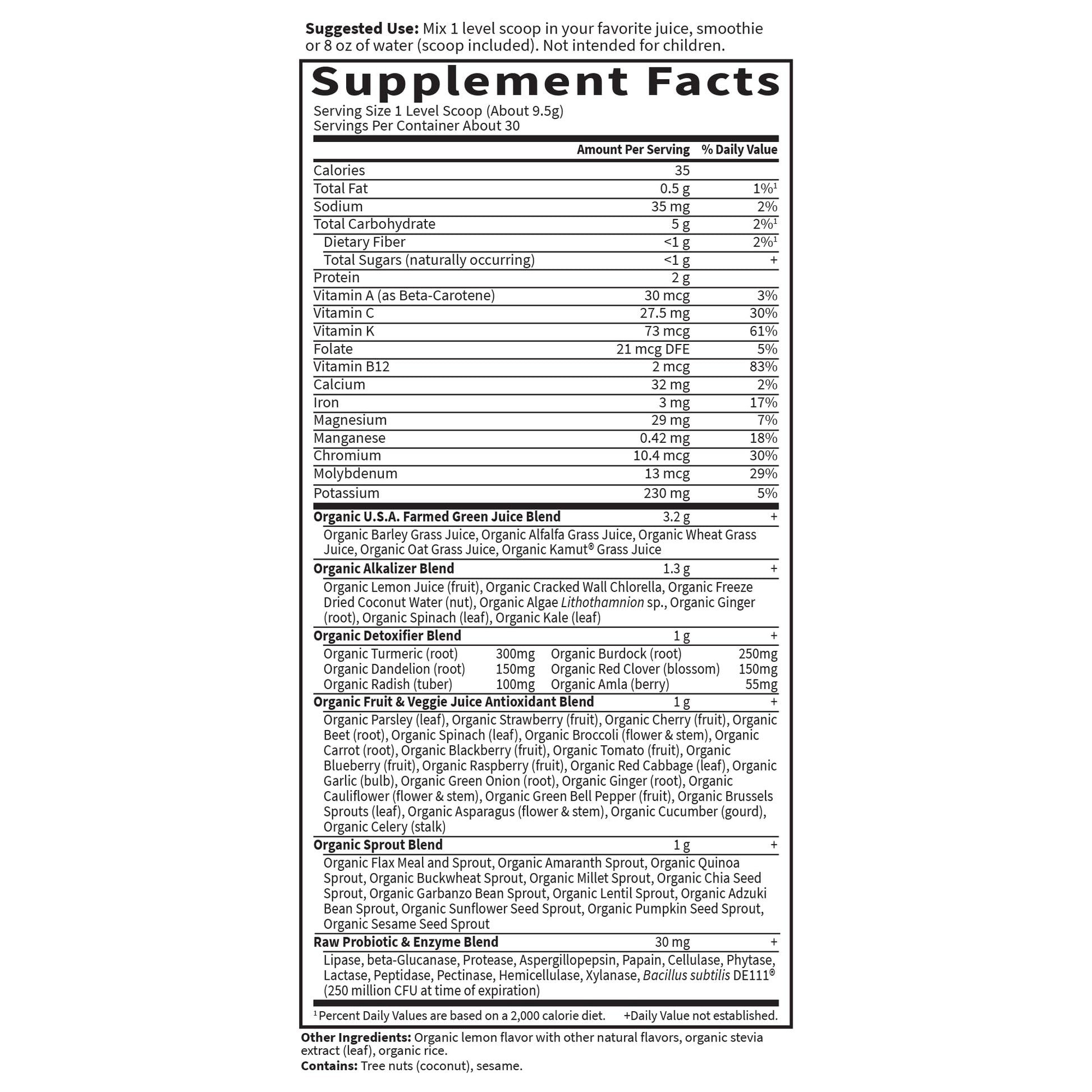 Garden of Life Raw Organic Perfect Food Alkalizer and Detoxifier, Lemon Ginger Flavored Superfood Powder Supplement, 30 Servings Garden of LifeBuy Supplements Australia