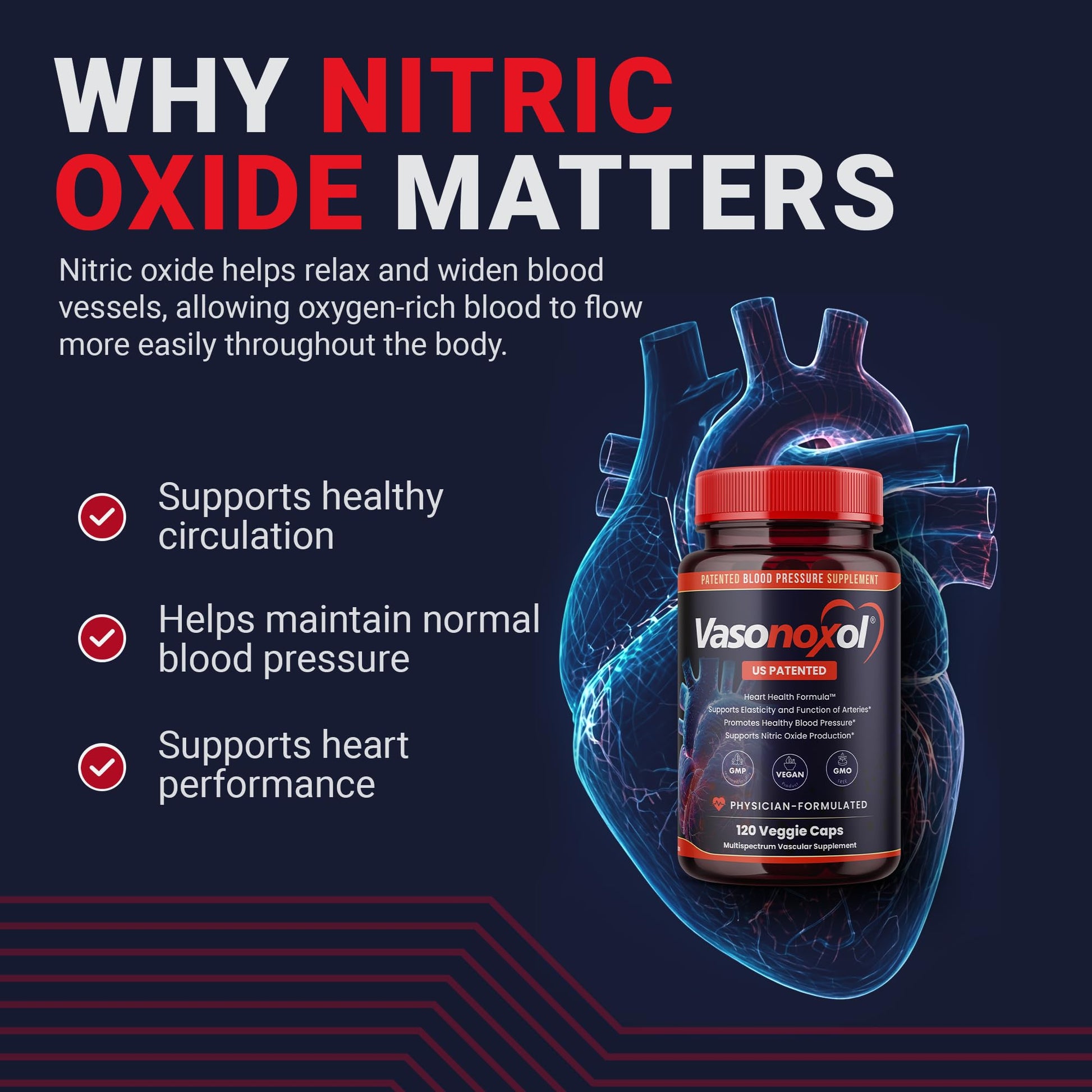 Vasonoxol U.S. Patented Nitric Oxide Supplement for Blood Pressure Support 2880mg - Physician Formulated Vascular Health Formula with L-Arginine & L-Citrulline - Vegan, Non-GMO (120 Capsules) PanoxolBuy Supplements Australia