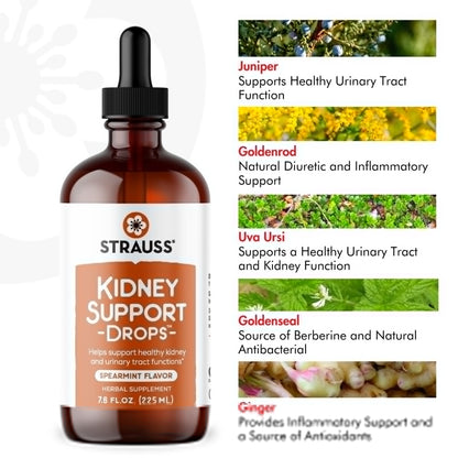 Strauss Naturals Kidney Support Drops – Herbal Kidney Support Supplement for Men and Women – Helps with Kidney Health and Urinary Tract Function – Vegan & Non-GMO – Spearmint Flavored – 100 ml Bottle Strauss HeartdropsBuy Supplements Australia