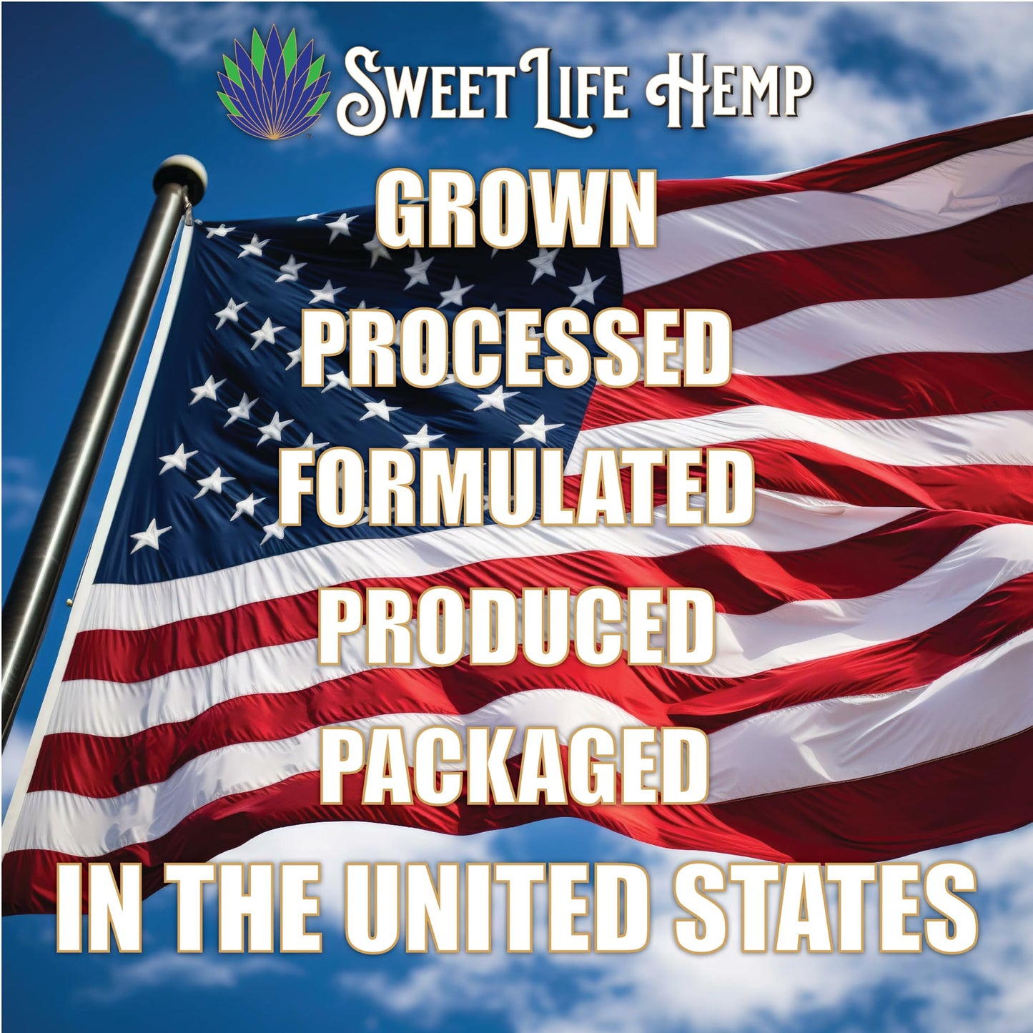 Sweet Life | Hemp Salve Stick | 3000mg | Organic Botanical Balm | Twist-Up Applicator | Small Business | Muscle & Joint Comfort Sweet LifeBuy Supplements Australia