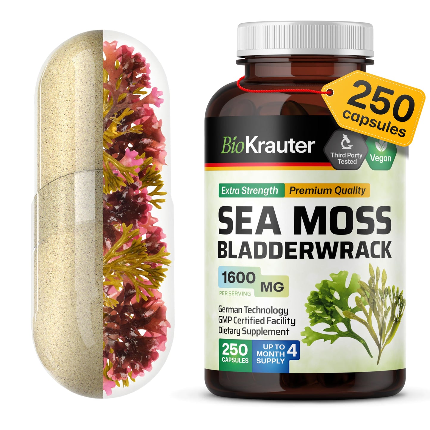BIO KRAUTER® 2-in-1 Sea Moss for Thyroid Support - Vegan Bladderwrack & Sea Moss Capsules for Women & Men - Natural Сhondrus Сrispus Seaweed Supplement 1600 mg - 125 Days of Supply, Non-GMO BIO KRAUTERBuy Supplements Australia