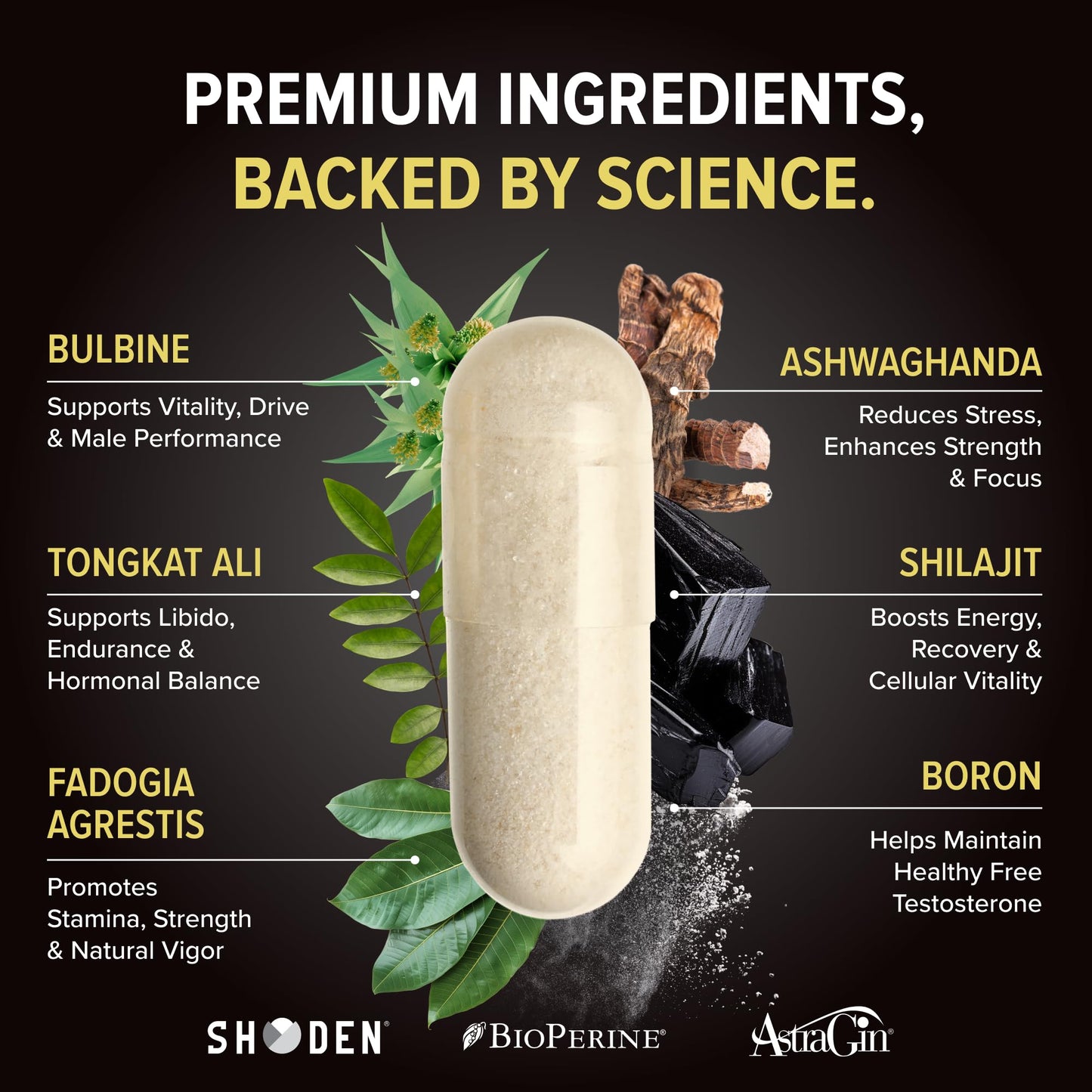 Nutrex Research Alpha-T Magnum Testosterone Support for Men | Anabolic Supplement with Tongkat Ali, Fadogia Agrestis, Shilajit and Ashwagandha | Muscle Builder for Strength, Growth & Hormone Balance Nutrex ResearchBuy Supplements Australia