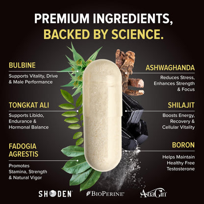 Nutrex Research Alpha-T Magnum Testosterone Support for Men | Anabolic Supplement with Tongkat Ali, Fadogia Agrestis, Shilajit and Ashwagandha | Muscle Builder for Strength, Growth & Hormone Balance Nutrex ResearchBuy Supplements Australia