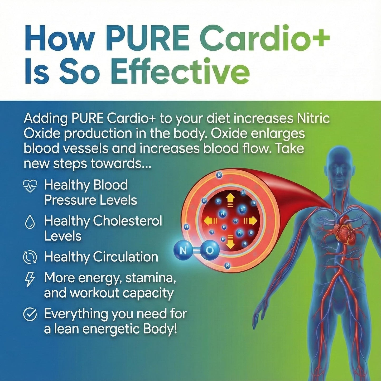 PURE® Cardio+ Nitric Oxide Heart & Circulation Support - 5000mg L-Arginine & 1000mg L-Citrulline - Lemon Lime, 30 Servings Powder, 375 Grams - CoQ10 Beet Root - High Potency Cardiovascular Formula PUREBuy Supplements Australia