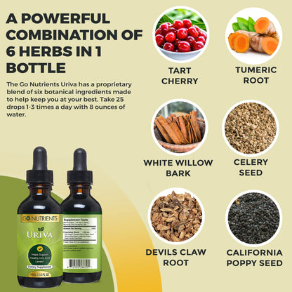Go Nutrients Uriva Advanced Uric Acid Flush Cleanse with Tart Cherry Extract Celery Seed Extract Turmeric Go NutrientsBuy Supplements Australia