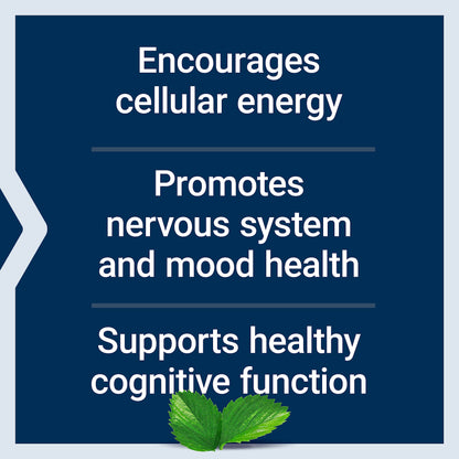 Life Extension Acetyl-L-Carnitine, Acetyl-L-Carnitine, vitamin C, Brain, mood & nerve health Life ExtensionBuy Supplements Australia