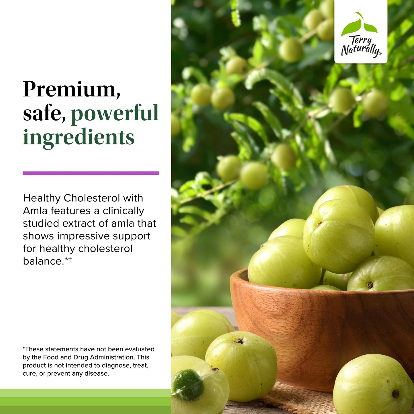 Terry Naturally Healthy Cholesterol with Amla - Antioxidant Supplement for Immune & Heart Support - Supplement to Aid Healthy Cholesterol & Triglyceride - 60 Capsules Terry NaturallyBuy Supplements Australia