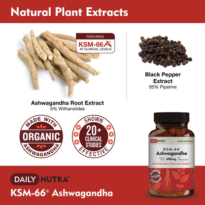 DailyNutra KSM-66 Ashwagandha 600mg Organic Root Extract - High Potency Supplement DailyNutraBuy Supplements Australia