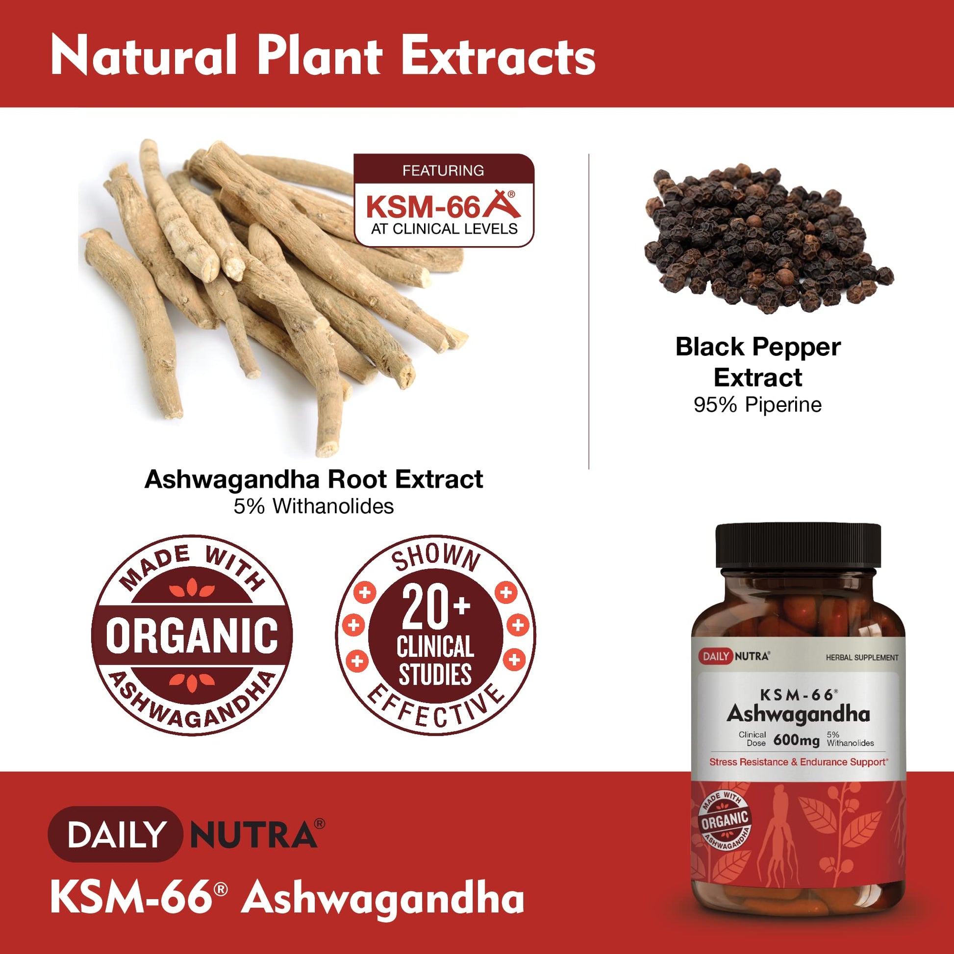DailyNutra KSM-66 Ashwagandha 600mg Organic Root Extract - High Potency Supplement DailyNutraBuy Supplements Australia