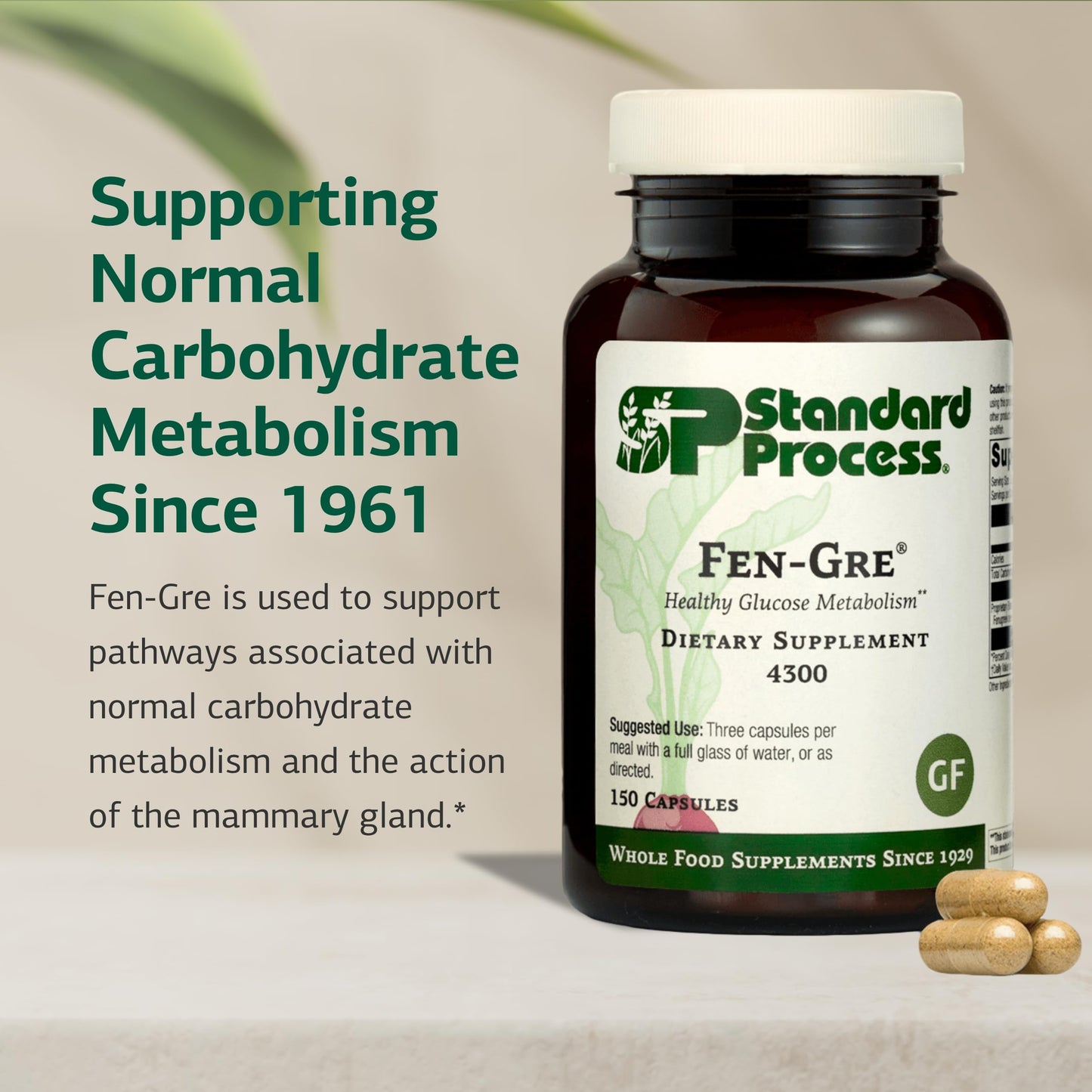 Standard Process Fen-Gre - Supports Respiratory Support & Healthy Metabolism - Aids Healthy Levels of Mucus & Phlegm - Supports Lung Health & Bronchial Tubes - Gluten-Free & Non-Dairy - 150 Capsules Standard Process Inc.Buy Supplements Australia