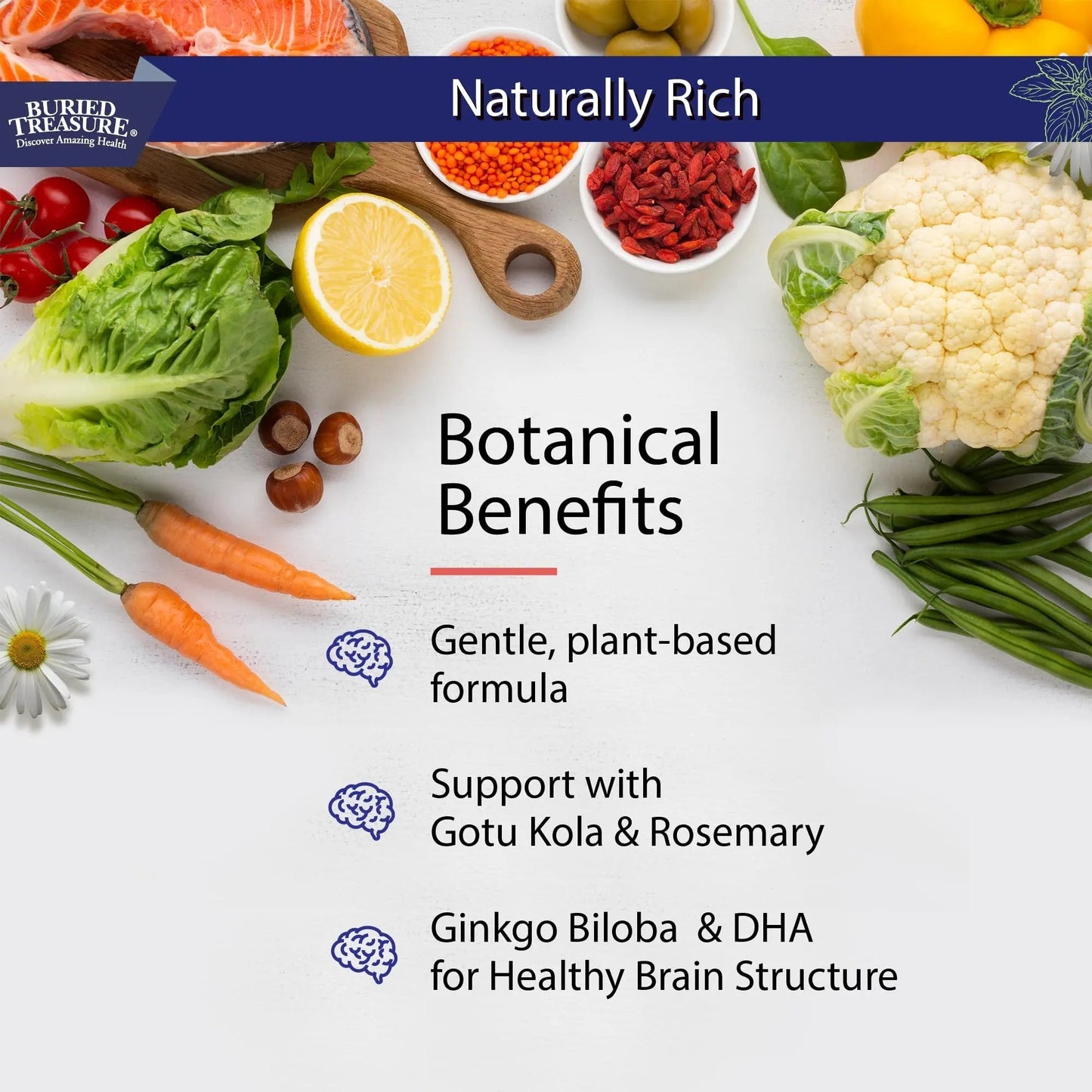 Buried Treasure Neuro Nectar Memory and Mental Focus Supplement 16 oz Buried TreasureBuy Supplements Australia