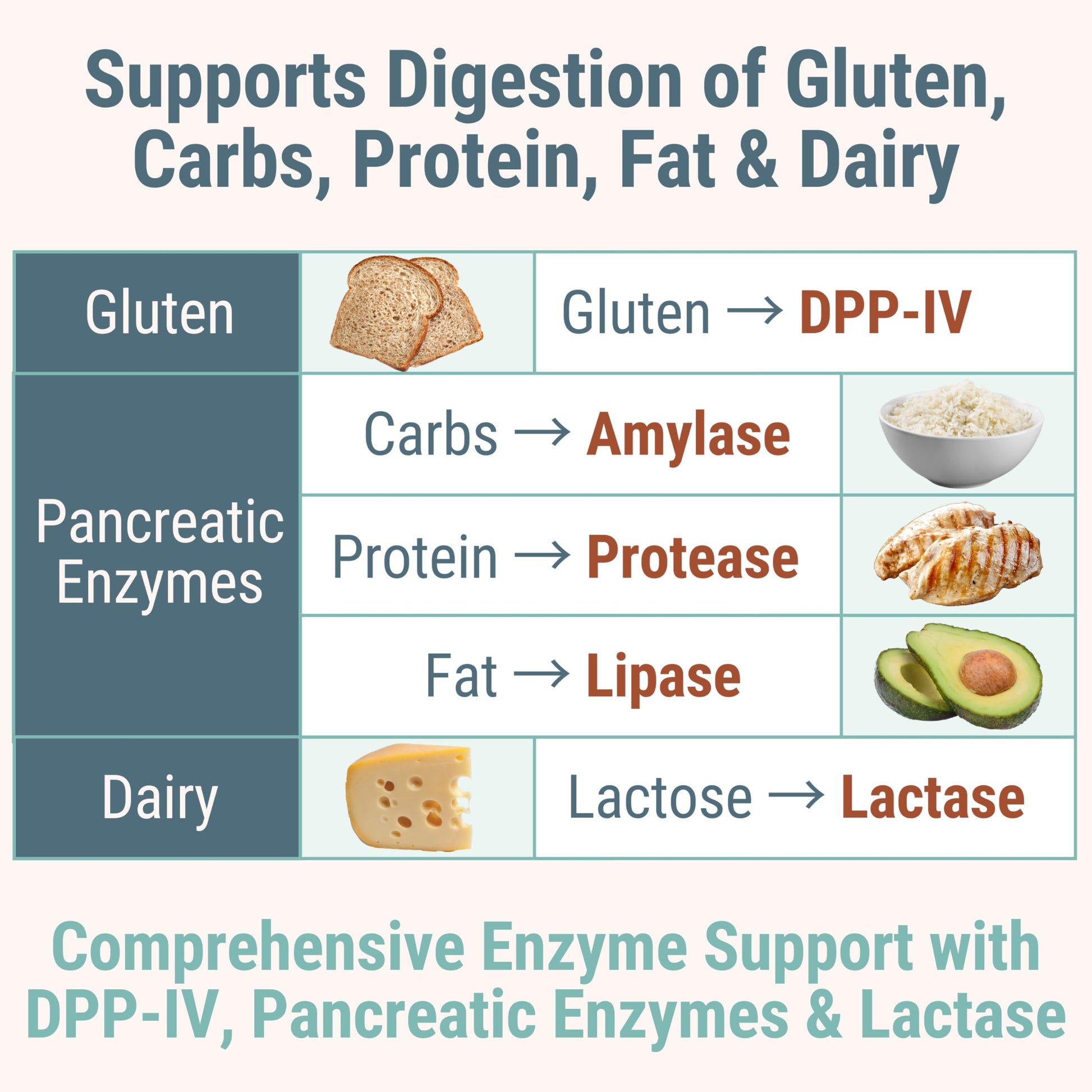 Gluten & Lactase Digestive Enzyme Gummies – Lactase Pancreatic Enzymes with DPP‑IV Lipase Gluco‑Amylase Lactase, Drops Chewables Capsules Pills Powder Supplement Alt, Pancreatic Support, for Kids SHIZAMBuy Supplements Australia