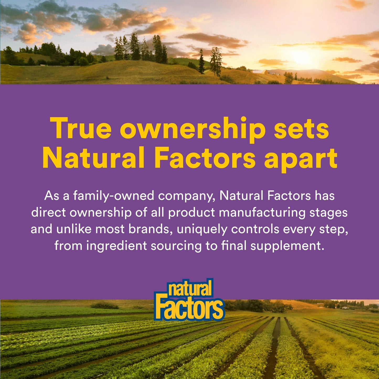 Natural Factors Pharma GABA - Dietary Supplement Supports Calm Sleep & Sleep Quality - Natural, Fast-Working Supplement Aids Focus & Brain Health - 60 Chewable Tablets (60 Servings) Natural FactorsBuy Supplements Australia