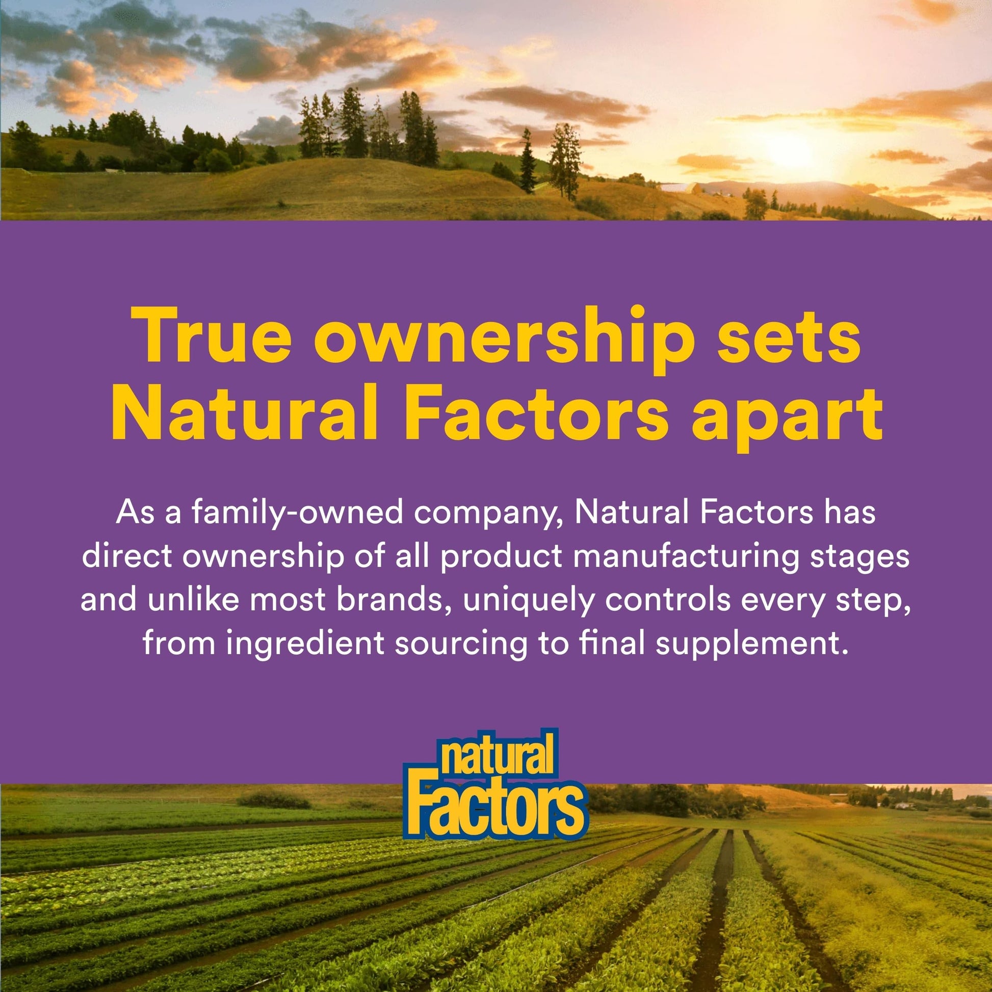Natural Factors Pharma GABA - Dietary Supplement Supports Calm Sleep & Sleep Quality - Natural, Fast-Working Supplement Aids Focus & Brain Health - 60 Chewable Tablets (60 Servings) Natural FactorsBuy Supplements Australia