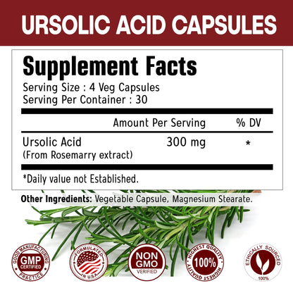 Immortal Herbs Pure Ursolic Acid Supplement 300mg, 120 Pills, Rosemary Leaf Extract Powder, Non-GMO and Gluten-Free Ursolic Acid Capsules for Women and Men Immortal HerbsBuy Supplements Australia