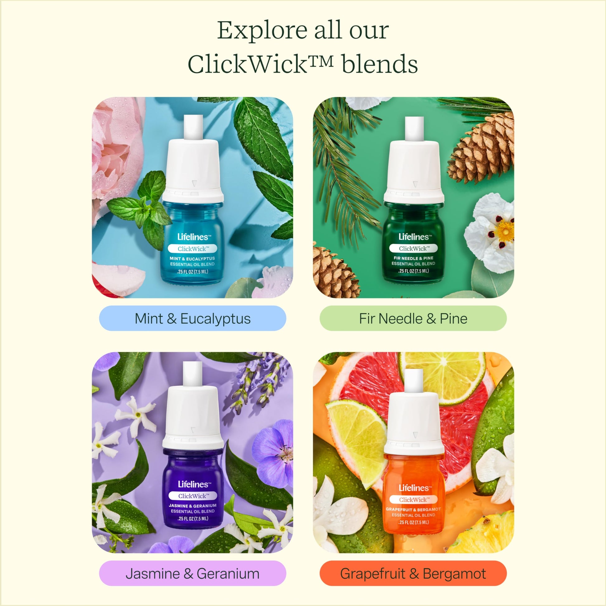 Lifelines ClickWick Essential Oil Blend 2-Pack: in Bloom and Citrus Grove, for Lifelines ClickWick Essential LifelinesBuy Supplements Australia