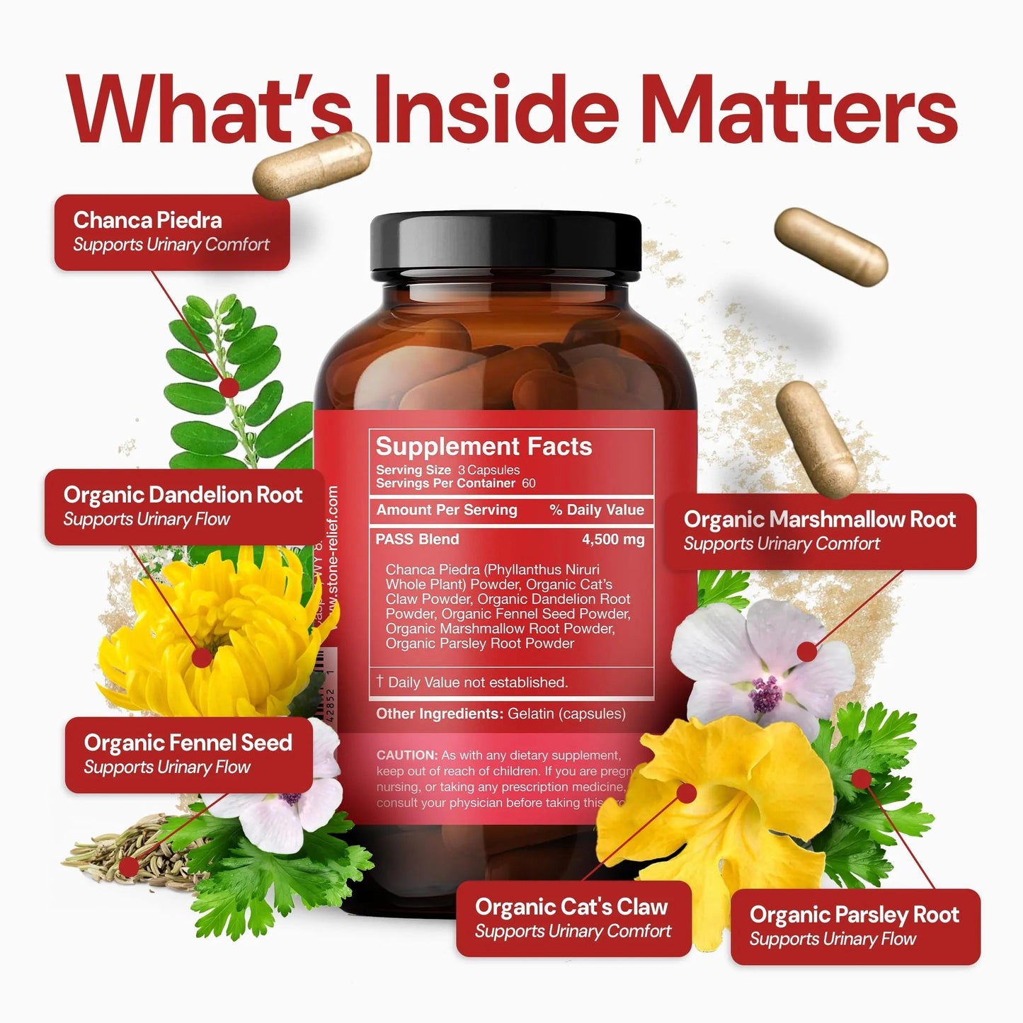 STONE RELIEF Daytime Herbal Kidney Support for Urinary Flow & Comfort | Chanca Piedra Formula – 180 Capsules STONE RELIEFBuy Supplements Australia