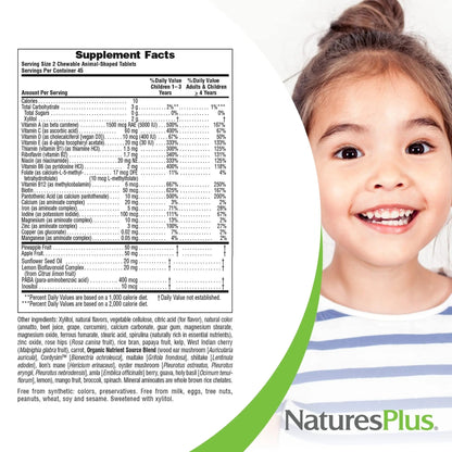 NaturesPlus Animal Parade Sugar-Free Children's Multivitamin - Assorted Cherry, Grape & Orange Flavors - Pack of 2 NaturesPlusBuy Supplements Australia