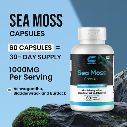 CHARMSVEDA Sea Moss Capsules with Ashwagandha, Bladderwrack & Burdock – Overall Wellness & Immune Support, Support Digestive & Gut Health* – 60 Vegan Capsules CHARMSVEDABuy Supplements Australia