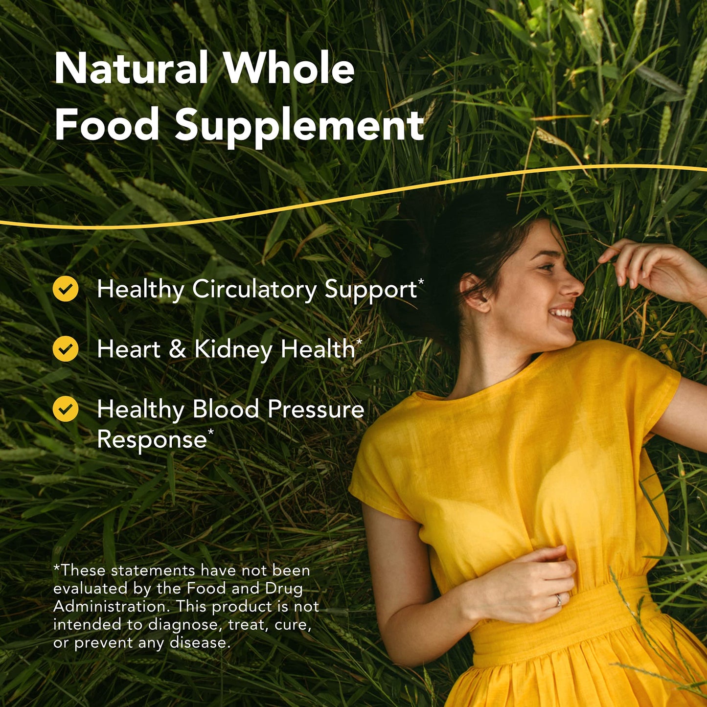 NORTH AMERICAN HERB & SPICE Hyper-eeZ - 90 Vegi Caps - Herbs, Spices, Flowers, Berry Blend - Blood Pressure & Circulation Support - Assists with Heart, Circulation, Kidneys - Non-GMO - 90 Servings NORTH AMERICAN HERB & SPICEBuy Supplements Australia